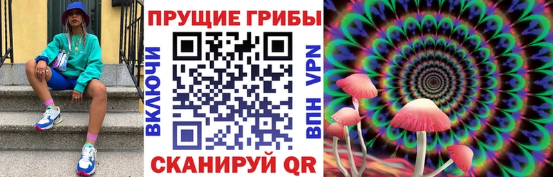 мега ССЫЛКА Армавир Псилоцибиновые грибы прущие грибы